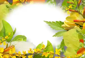 Photo effect from category Women's photo frames № 158274 Photo effect from category Women's photo frames № 158274