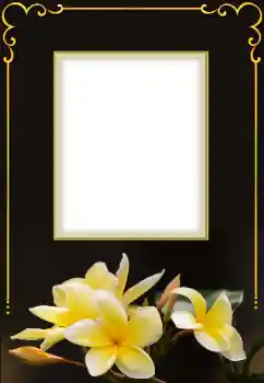 Photo effect from category Women's photo frames № 158432 Photo effect from category Women's photo frames № 158432