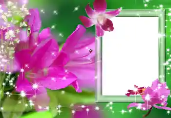 Photo effect from category Women's photo frames № 158437 Photo effect from category Women's photo frames № 158437