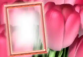 Photo effect from category Women's photo frames № 15899