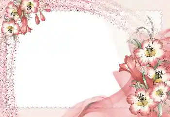 Photo effect from category Women's photo frames № 15965