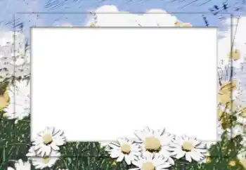 Photo effect from category Women's photo frames № 16006