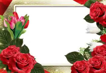 Photo effect from category Women's photo frames № 160600 Photo effect from category Women's photo frames № 160600