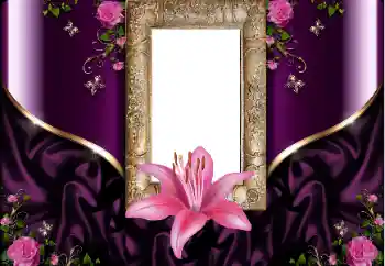 Photo effect from category Women's photo frames № 160698 Photo effect from category Women's photo frames № 160698
