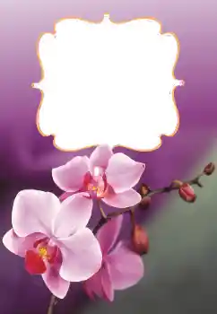 Photo effect from category Women's photo frames № 160699 Photo effect from category Women's photo frames № 160699