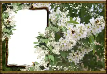 Photo effect from category Women's photo frames № 16069