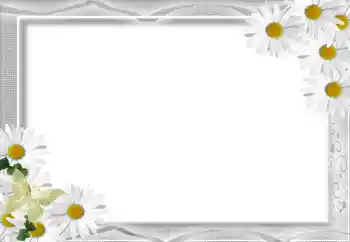 Photo effect from category Women's photo frames № 16071
