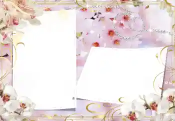 Photo effect from category Women's photo frames № 160739 Photo effect from category Women's photo frames № 160739