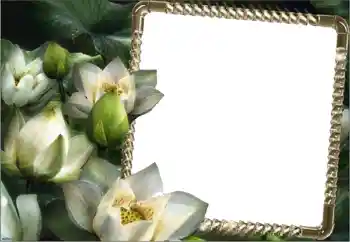 Photo effect from category Women's photo frames № 160750 Photo effect from category Women's photo frames № 160750