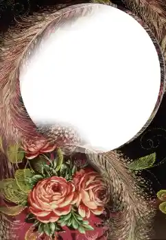 Photo effect from category Women's photo frames № 160763 Photo effect from category Women's photo frames № 160763