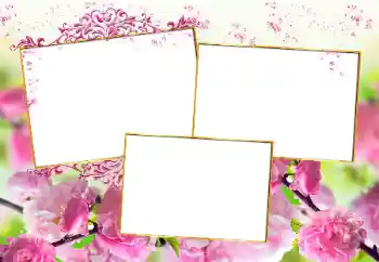 Photo effect from category Women's photo frames № 160777 Photo effect from category Women's photo frames № 160777