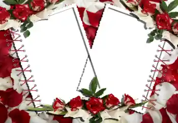 Photo effect from category Women's photo frames № 160866 Photo effect from category Women's photo frames № 160866