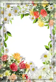 Photo effect from category Women's photo frames № 1618 Photo effect from category Women's photo frames № 1618