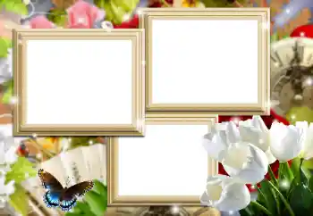 Photo effect from category Women's photo frames № 161970 Photo effect from category Women's photo frames № 161970