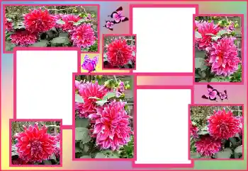 Photo effect from category Women's photo frames № 162009 Photo effect from category Women's photo frames № 162009