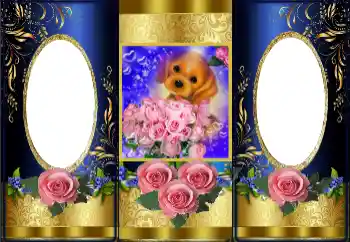 Photo effect from category Women's photo frames № 162106 Photo effect from category Women's photo frames № 162106