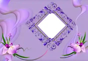 Photo effect from category Women's photo frames № 163219 Photo effect from category Women's photo frames № 163219