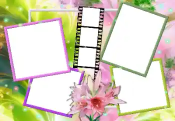 Photo effect from category Women's photo frames № 163255 Photo effect from category Women's photo frames № 163255