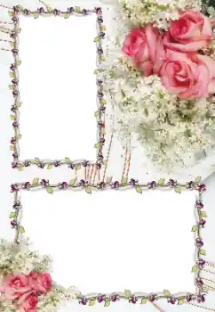 Photo effect from category Women's photo frames № 163256 Photo effect from category Women's photo frames № 163256