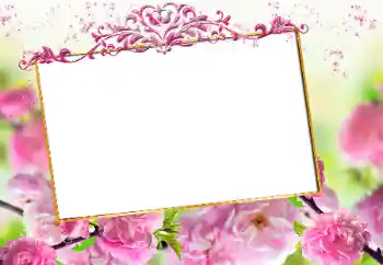 Photo effect from category Women's photo frames № 163327 Photo effect from category Women's photo frames № 163327