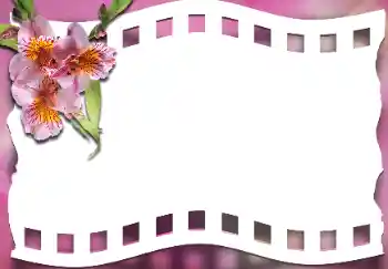 Photo effect from category Women's photo frames № 163337 Photo effect from category Women's photo frames № 163337