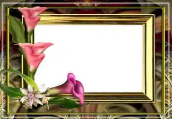 Photo effect from category Women's photo frames № 163528 Photo effect from category Women's photo frames № 163528