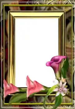 Photo effect from category Women's photo frames № 163529 Photo effect from category Women's photo frames № 163529