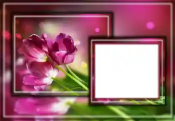 Photo effect from category Women's photo frames № 164601 Photo effect from category Women's photo frames № 164601