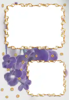 Photo effect from category Women's photo frames № 164696 Photo effect from category Women's photo frames № 164696
