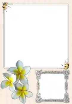 Photo effect from category Women's photo frames № 164699 Photo effect from category Women's photo frames № 164699