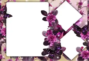 Photo effect from category Women's photo frames № 164747 Photo effect from category Women's photo frames № 164747