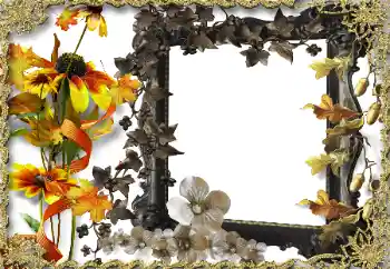 Photo effect from category Women's photo frames № 164786 Photo effect from category Women's photo frames № 164786