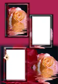 Photo effect from category Women's photo frames № 164787 Photo effect from category Women's photo frames № 164787