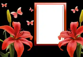 Photo effect from category Women's photo frames № 164820 Photo effect from category Women's photo frames № 164820