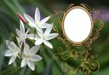 Photo effect from category Women's photo frames № 164897 Photo effect from category Women's photo frames № 164897