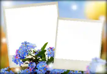 Photo effect from category Women's photo frames № 166068 Photo effect from category Women's photo frames № 166068