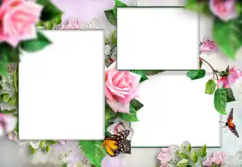Photo effect from category Women's photo frames № 166108 Photo effect from category Women's photo frames № 166108