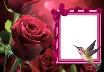 Photo effect from category Women's photo frames № 166111 Photo effect from category Women's photo frames № 166111