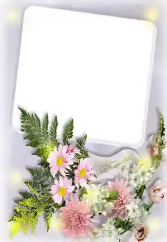 Photo effect from category Women's photo frames № 166155 Photo effect from category Women's photo frames № 166155