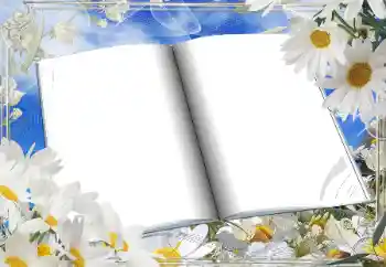 Photo effect from category Women's photo frames № 166181 Photo effect from category Women's photo frames № 166181