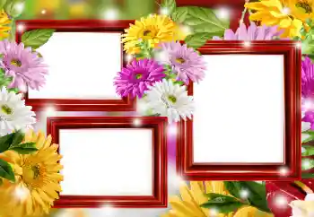 Photo effect from category Women's photo frames № 166266