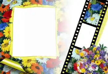 Photo effect from category Women's photo frames № 166315