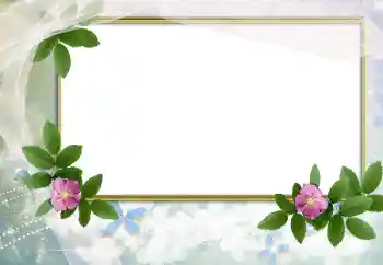 Photo effect from category Women's photo frames № 166503 Photo effect from category Women's photo frames № 166503