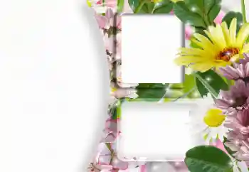 Photo effect from category Women's photo frames № 166607