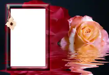 Photo effect from category Women's photo frames № 166641