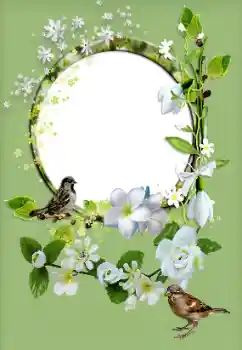 Photo effect from category Women's photo frames № 167829 Photo effect from category Women's photo frames № 167829