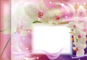 Photo effect from category Women's photo frames № 167835 Photo effect from category Women's photo frames № 167835