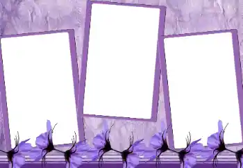 Photo effect from category Women's photo frames № 167964