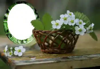 Photo effect from category Women's photo frames № 167999