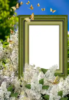 Photo effect from category Women's photo frames № 169023